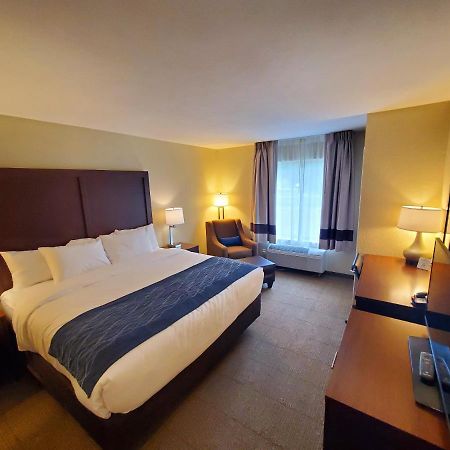 Comfort Inn & Suites Munising-Lakefront Exteriör bild
